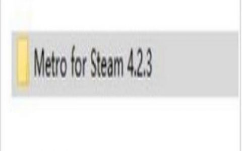 metro for steam-STEAM是什么东西