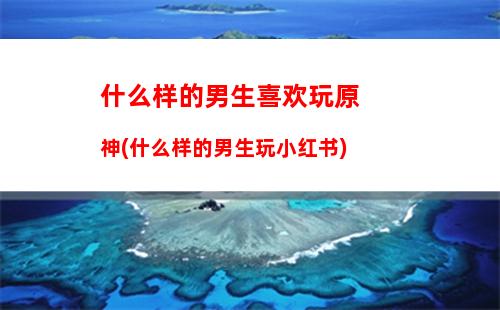 原神龙宫(原神龙宫三个碎片在哪里)