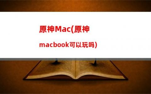 原神补神瞳(原神补神瞳价格)