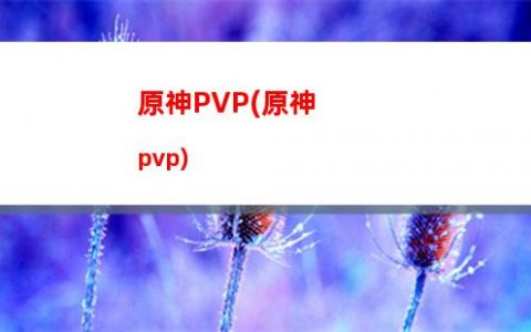 原神pro(原神project在线看)