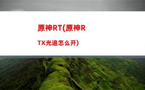 原神伴侣(神的伴侣叫什么)