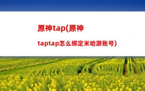 原神本子图(原神等身抱枕**图片)
