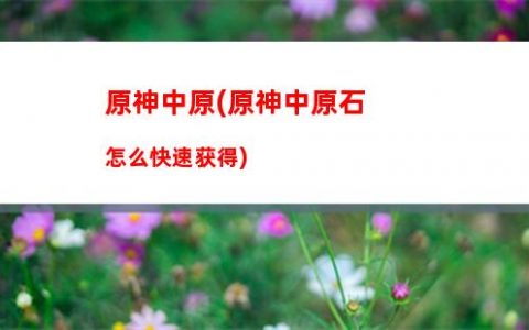 市井原神(市井原神角色被其他任务占用)