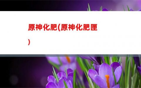 呢原神(up是什么意思呢原神)