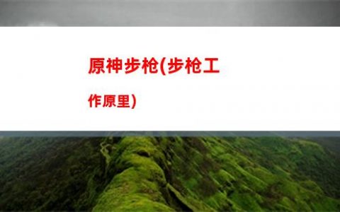 原神保护(原神保护托克想办法与托克汇合)