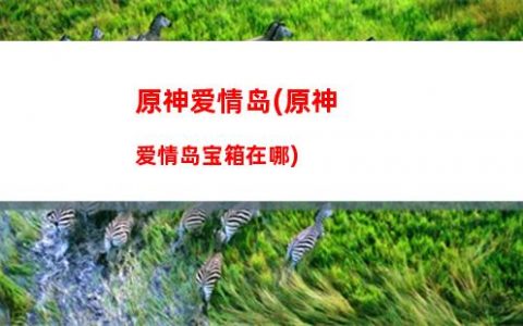 原神包包(原神包包老师个人资料)