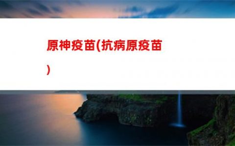 巫女原神(原神巫女位置)