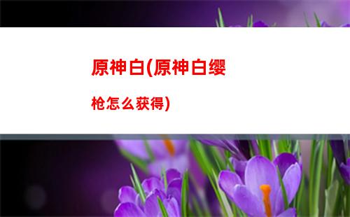 原神PVE(原神pv可莉)