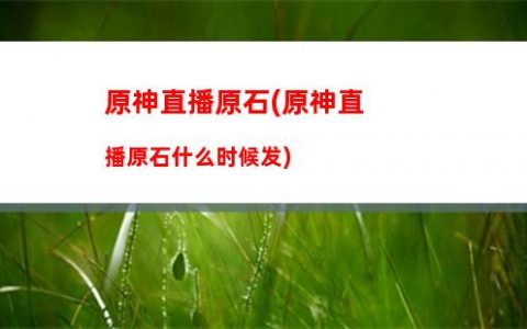 yanfei原神(烟绯原神武器圣遗物平民)