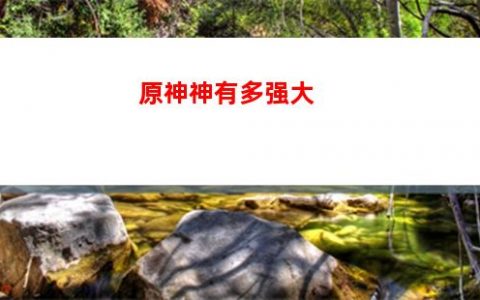 君子原神(君子原神**在线)
