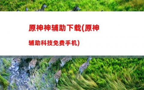 中粮神象原麦粉1kg(中粮全麦粉价格)