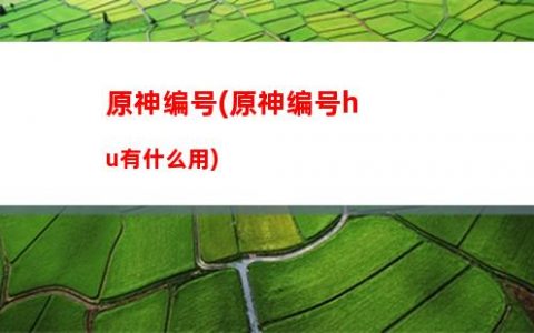 原神外海(原神外海深处的漆黑巨鲸)