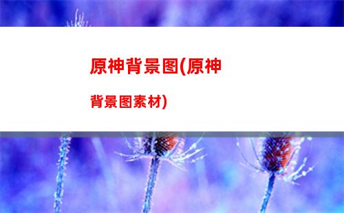 原神啊宽(原神啊宽在哪)