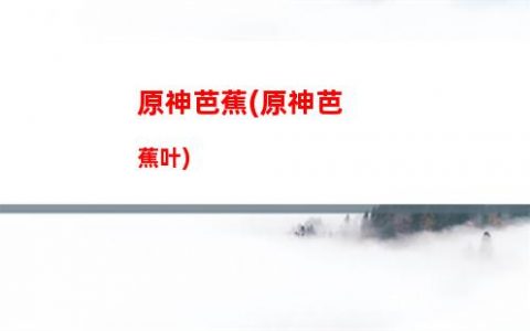 原神tip(原神tips在哪看)