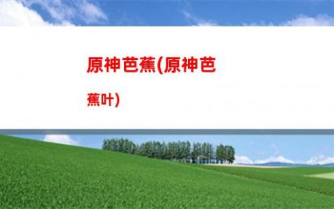 原神oc(原神oc立绘模板)