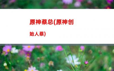 原神NS版(原神ns什么时候上架)