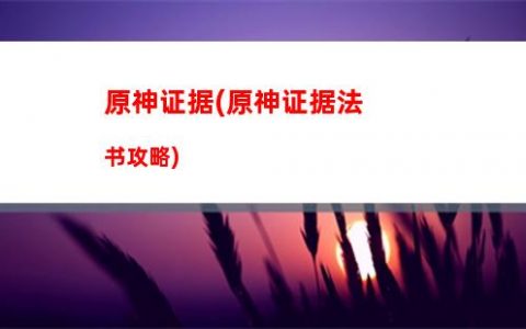 让你玩原神(外国人玩原神)
