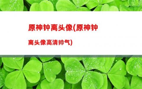 原神七神高清(原神七神的合照)