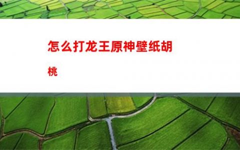 雷音原神(原神雷音权现成就)