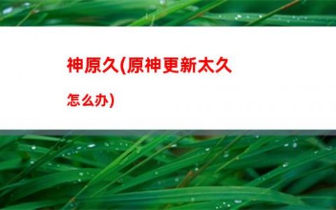 怎么打龙王原神头像情侣(原神怎么开启龙王)