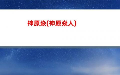 原神主c(原神主c诺艾尔圣遗物搭配)
