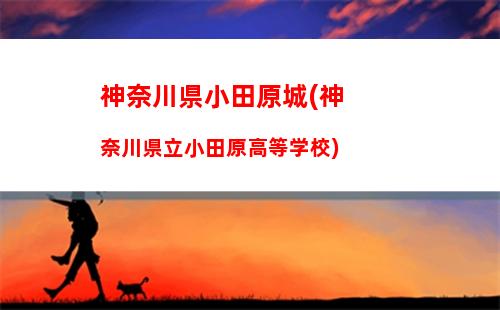 战国之道神原康政