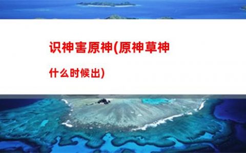 原神后续(原神后续up池)
