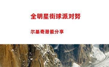 全明星街球派对努尔基奇潜能分享