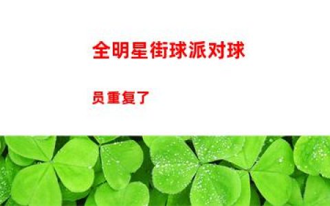全明星街球派对球员重复了