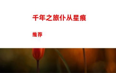 千年之旅仆从星痕推荐
