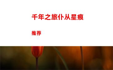 千年之旅仆从星痕推荐