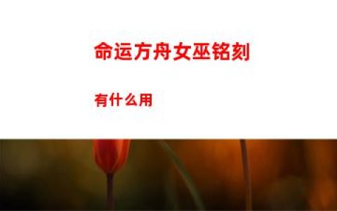 命运方舟女巫铭刻有什么用