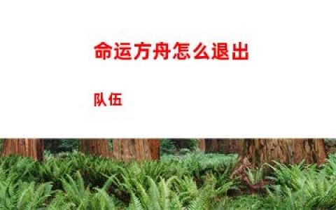 命运方舟怎么退出队伍