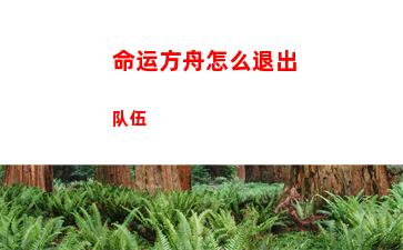 命运方舟怎么退出队伍