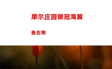 逆水寒手游铁拳武器一览