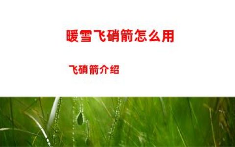 暖雪飞硝箭怎么用 飞硝箭介绍