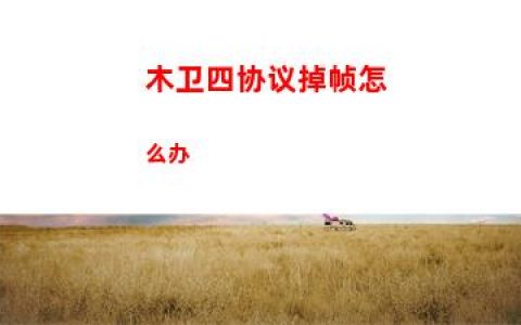 木卫四协议掉帧怎么办