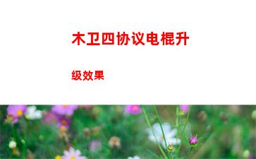 木卫四协议电棍升级效果