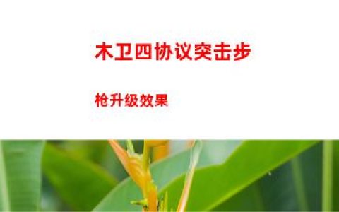 木卫四协议突击步枪升级效果