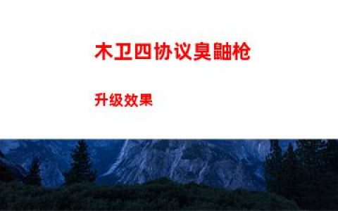 木卫四协议臭鼬枪升级效果