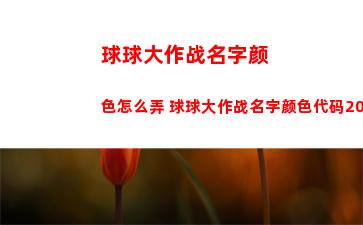球球大作战名字颜色怎么弄 球球大作战名字颜色代码2023
