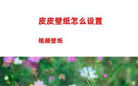 皮皮壁纸怎么设置视频壁纸