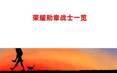 荣耀勋章战士一览