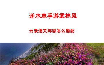 逆水寒手游武林风云录通关阵容怎么搭配