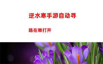 逆水寒手游自动寻路在哪打开